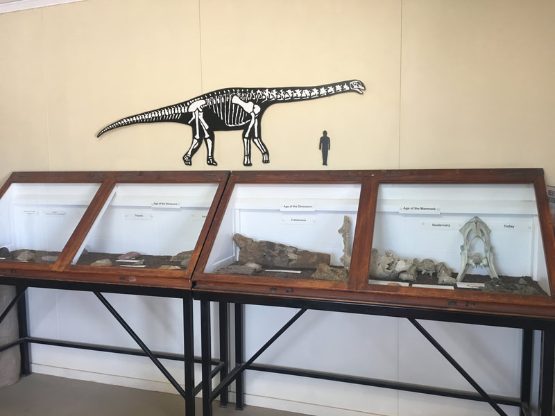 Fossil Display at AAOD